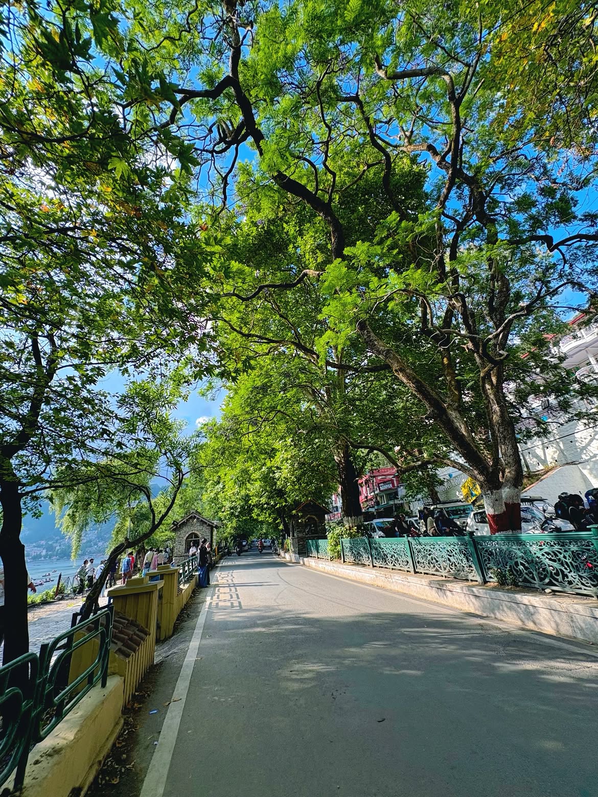 About Nainital Gallery Image